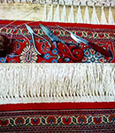 ریشه بافی و رفوگری فرش در قالیشویی ونک