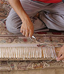 ریشه زنی فرش با قالیشویی بانو