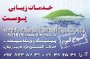 فروشگاه ریف کالر
