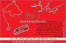 کلینیک دامپزشکی پایتخت