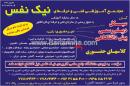 مجتمع آموزشی نیک نفس