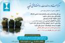 گروه مشاورین نسیم دی