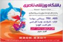 آکادمی تندرستی ناصری