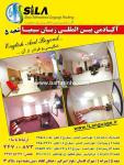 آکادمی بین المللی زبان سیمیا