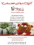 آشپزی و شیرینی پزی رزا