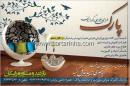 پوشش دیواری سیلکان