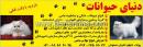 مرکز تخصصی دنیای حیوانات