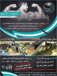باشگاه ورزشی گل سفید