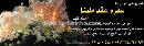سفره عقد ملینا