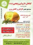 گیاهان داروئی شفاء