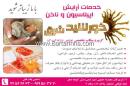 سالن زیبایی خورشید شرق