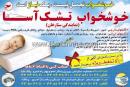 تشک آسا نمایندگی ستارخان 