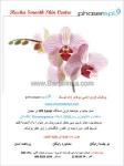 رفع موهای زائد توسط phaserep