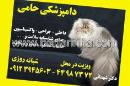 کلینیک دامپزشکی حامی