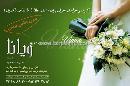 مزون ویانا