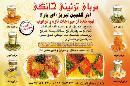 آذر گلچین تبریز آی پارا