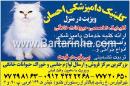 کلینیک دامپزشکی احسان