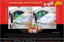 محصول  شوینده کالرکچر