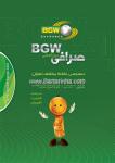 صرافی بین المللی BGW