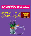 خدمات مسافرتی دوقلوهای جهانگرد
