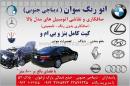 اتو رنگ سوان - صافکاری و نقاشی