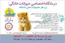 درمانگاه حیوانات خانگی باران