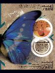 باشگاه ورزشی سیمین