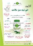خورشید سبز سلامت