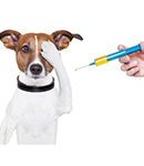  واکسيناسيون در سگها 