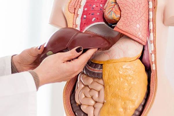 کبد چرب چگونه درمان میشود؟