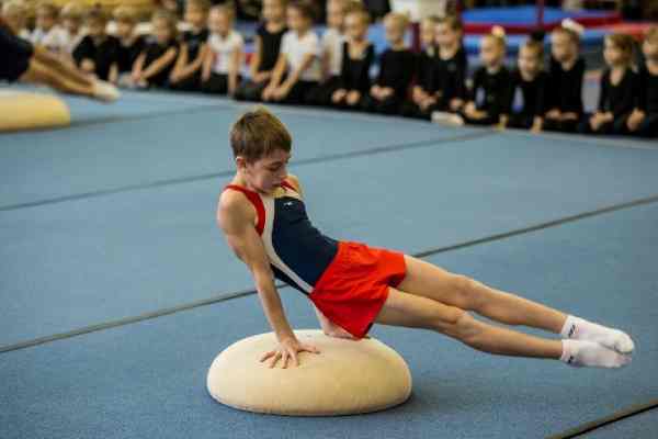 ژیمناستیک هنری چیست