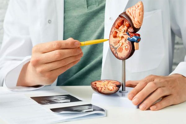 روش های درمان و تسکین درد کلیه 