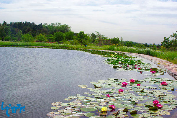 باغ گیاه شناسی ملی ایران