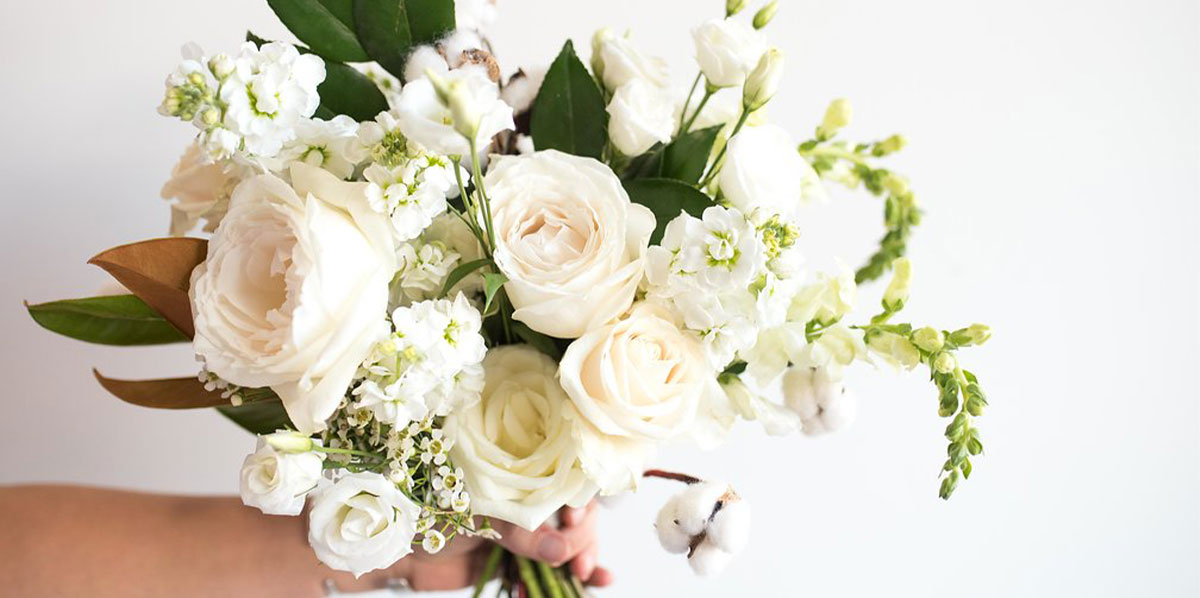 گل عروس با گل های سفید