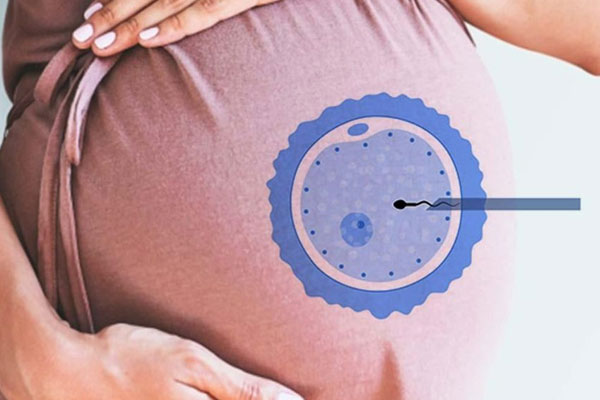 عوامل موثر بر شانس موفقیت IVF