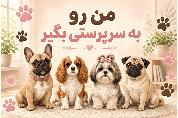 سگ را از کجا تهیه یا به سرپرستی بگیریم؟