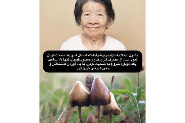 آیا مصرف قارچ سیلوسایبین به درمان آلزایمر کمک می کند