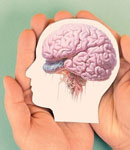 یادگیری زبان،راهکاری ساده برای به تأخیر انداختن پیری مغز