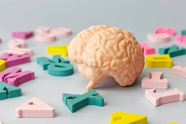 یادگیری زبان چگونه به سلامت و جوان ماندن مغز کمک میکند؟
