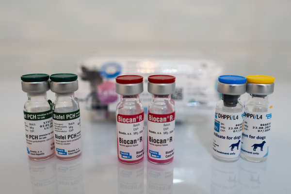 اهمیت واکسیناسیون حیوانات خانگی