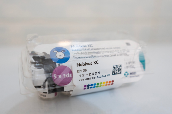 طریقه جلوگیری از انتقال بیماری از حیوان به انسان