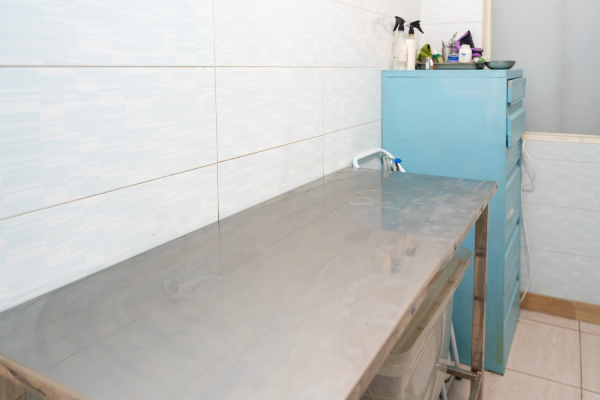 چه واکسن هایی برای حیوانات خانگی توصیه میشود؟