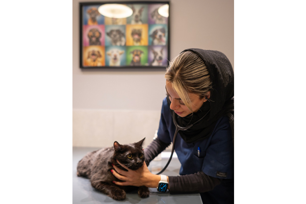 ویزیت عمومی در بیمارستان دامپزشکی نلا