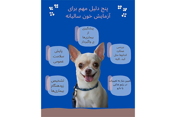 کلینیک دامپزشکی نیک پلاس