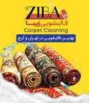 قالیشویی زیبا