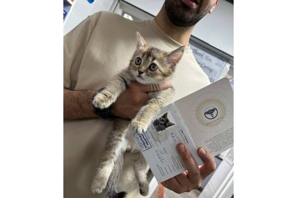 ملزومات حیوان خانگی که باید داشته باشید