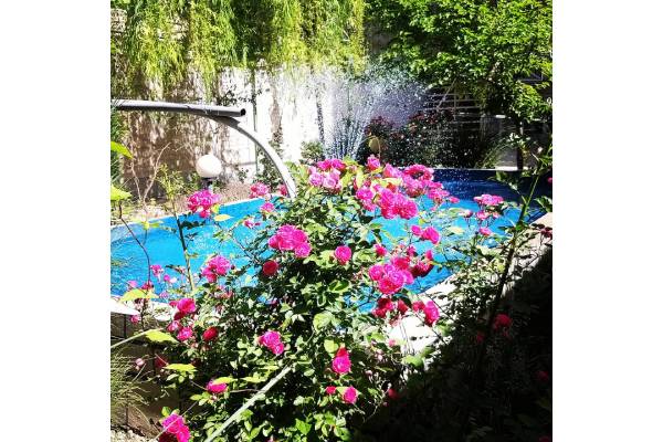 سالمندان سپیدار - مرکز توانبخشی و نگهداری