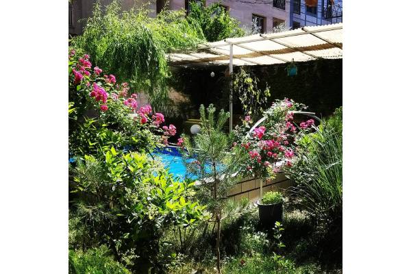 سالمندان سپیدار - مرکز توانبخشی و نگهداری