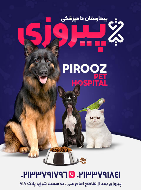 بیمارستان دامپزشکی دکتر برزگری