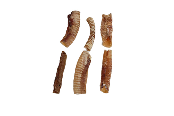 تصویر تشویقی فرآوری شده و طبیعی نای مخصوص سگ 